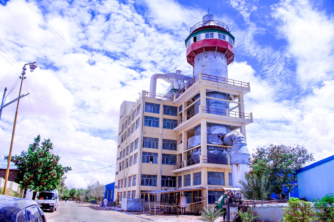 Ileys factory picture